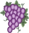 grape cluster preview