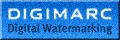 DigimarcDigital Watermarking | Get more information on how to digitally watermarkimages